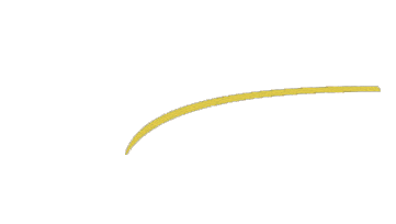 ARS Global